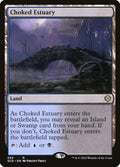 Choked Estuary (SCD) #293