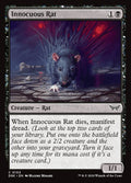 Innocuous Rat - (DSK) #103