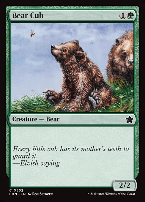 Bear Cub - (FDN) #552