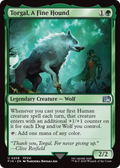 Torgal, A Fine Hound - (FIN) #208