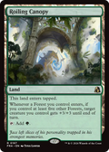 Roiling Canopy - (FRA) #187