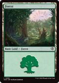 Forest (Basic Land)