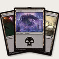 Swamp x15 - Basic Land Bundle
